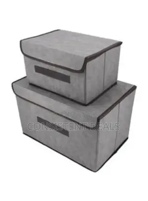 2pcs Foldable Anti Dust Storage Boxes