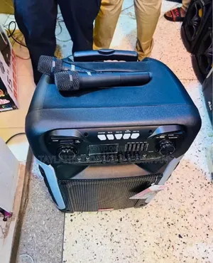 Professional Large Rechargeable Speaker System With 2 Mic