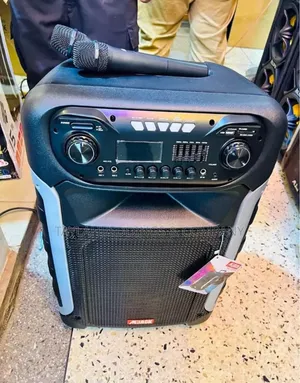 Professional Large Rechargeable Speaker System With 2 Mic