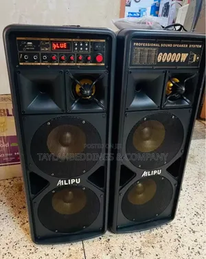 Heavy Duty Amplified Double Speaker