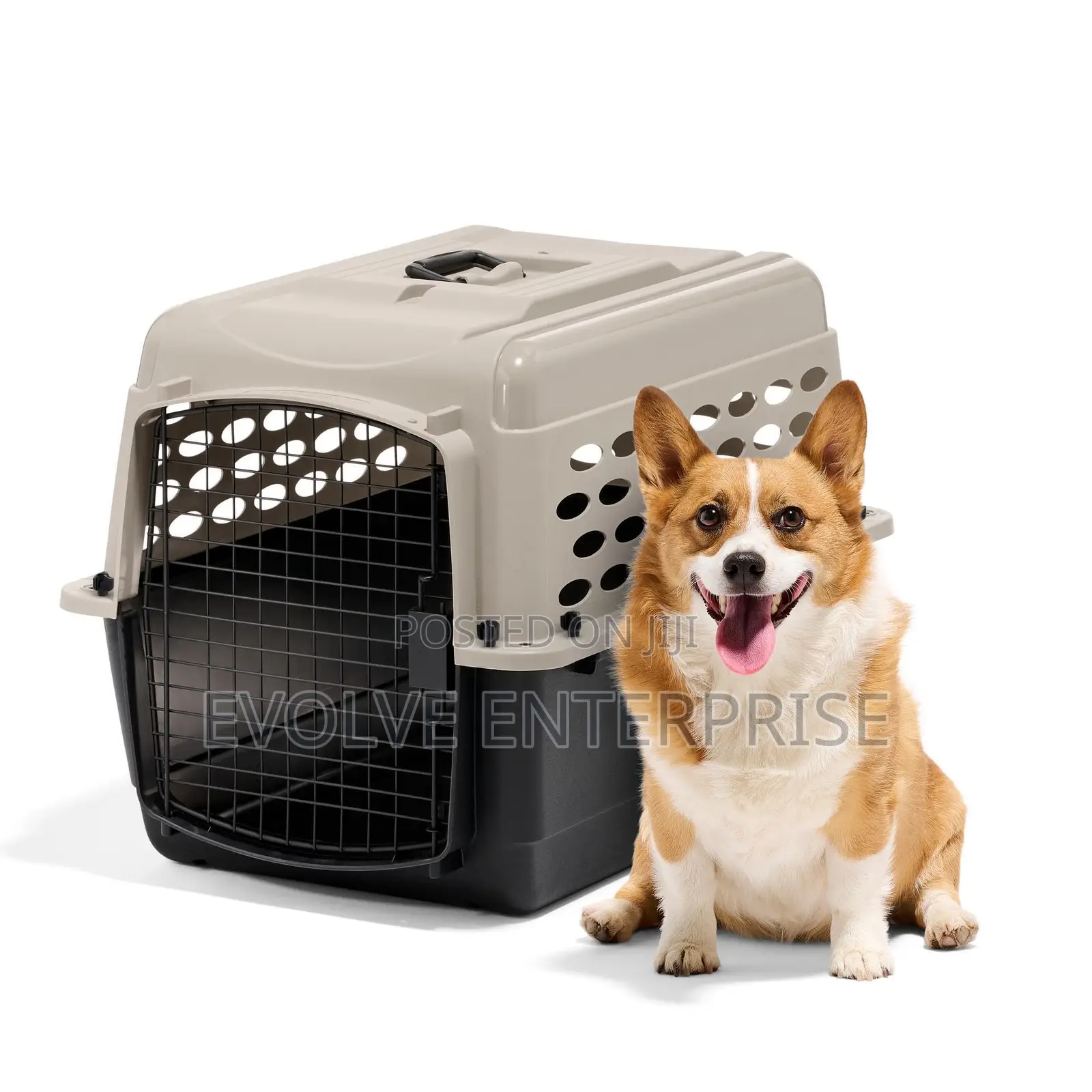 Dog Kennel Plastic Portable Travel Crate
