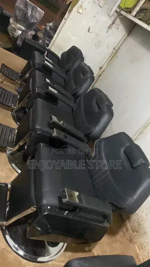 Imported Salon Barber Chair