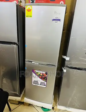 Roch Double Door 160 Litres Fridge With Bottom Freezer