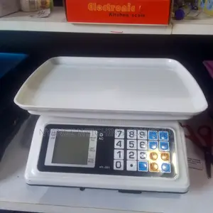 Portable Weigh Digital Weighing Scale Kitchen Smart Weighing Scale