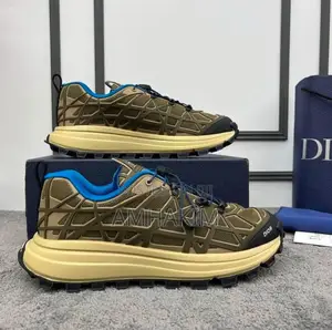 Classic Dior B31 Runner Sneakers
