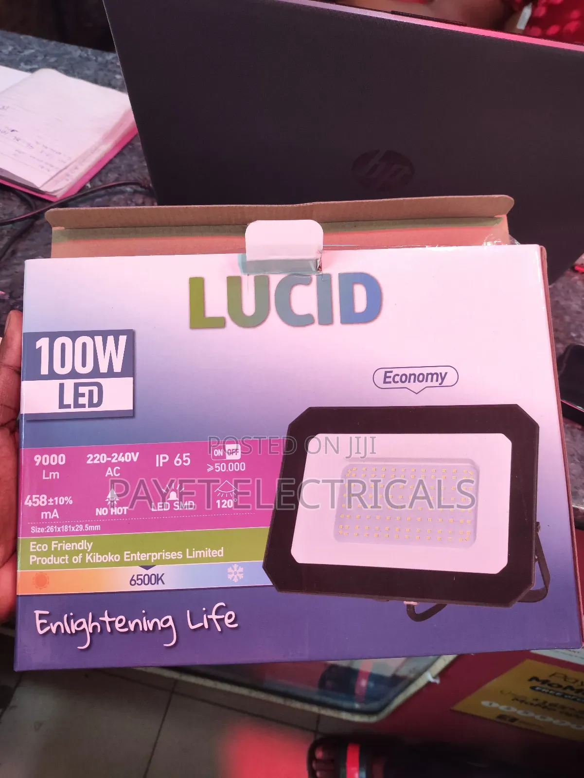 Lucid Flood Light for 100watts