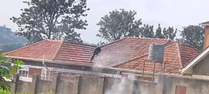 Roof Cleaning Services That Restores the Shine
