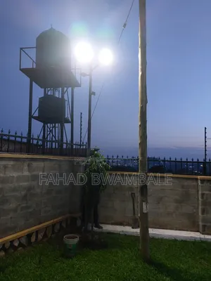 Solar Flood Lights