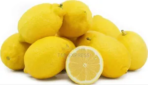 Eureka Lemon Seedlings