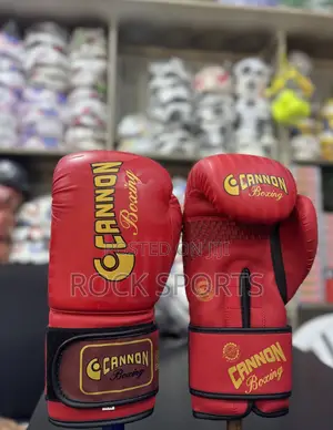 Boxing Gloves (Leather)