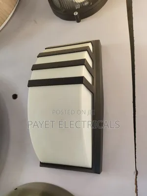 Security Wall Light