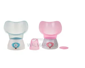 3 in 1 Electric Facial Steamer