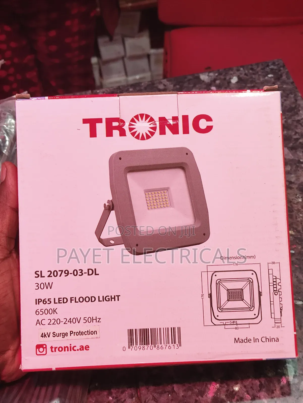 Heavy Duty Security Floodlight