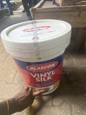 Vinyl Silk Paint
