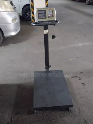 300kg Industrial Electronic Platform Scale