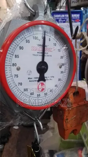 Hannison Mechanical Hanging Scale 100kg