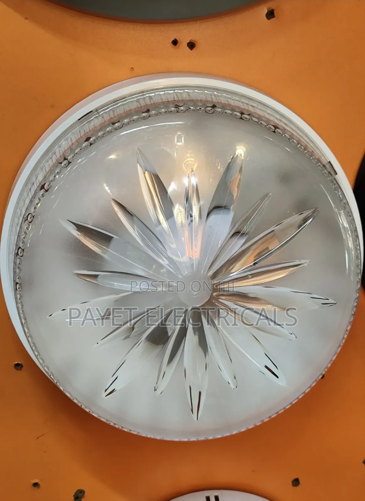 Washroom Ceiling Light