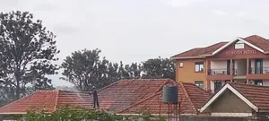 Roof Cleaning That's Effective and Efficient