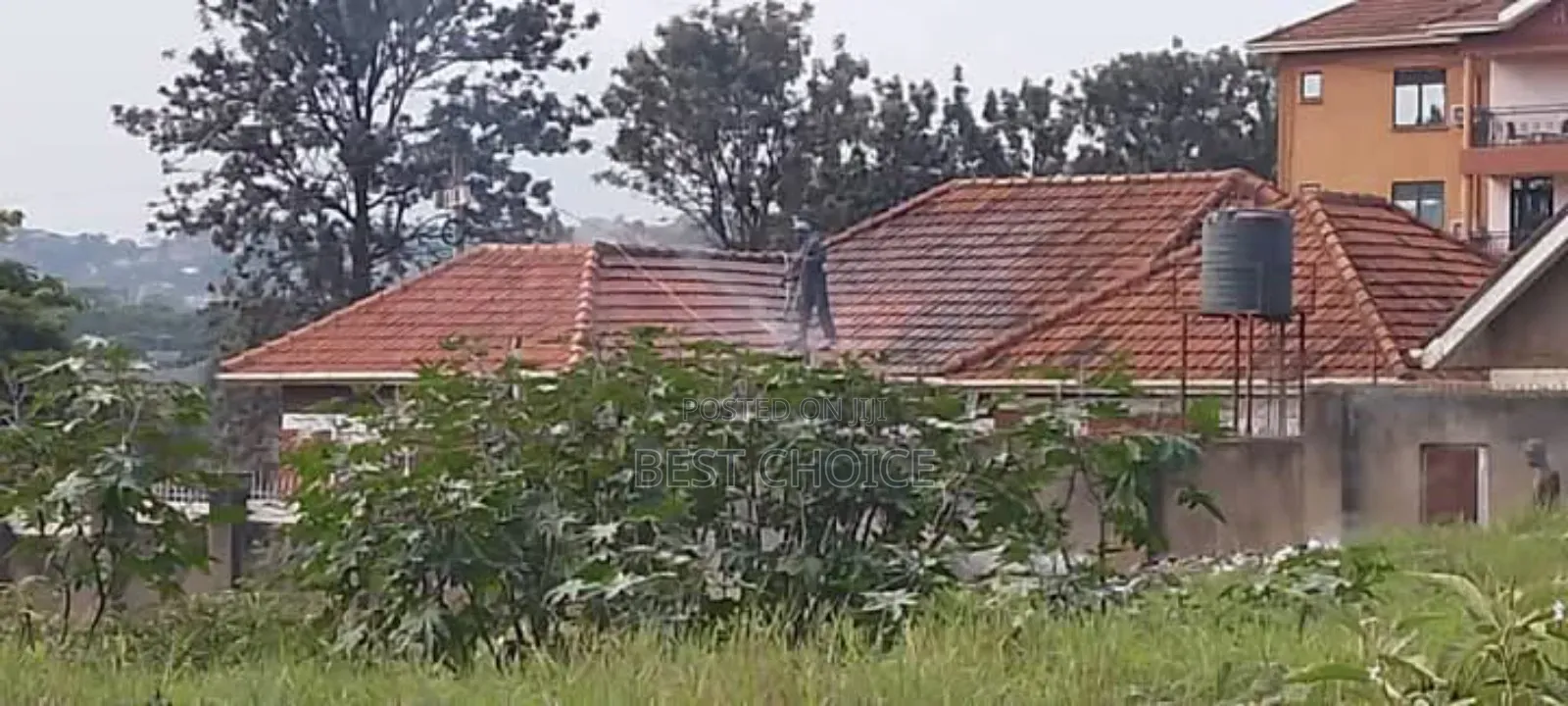 Roof Cleaning That's Effective and Efficient