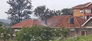 Roof Cleaning That's Effective and Efficient