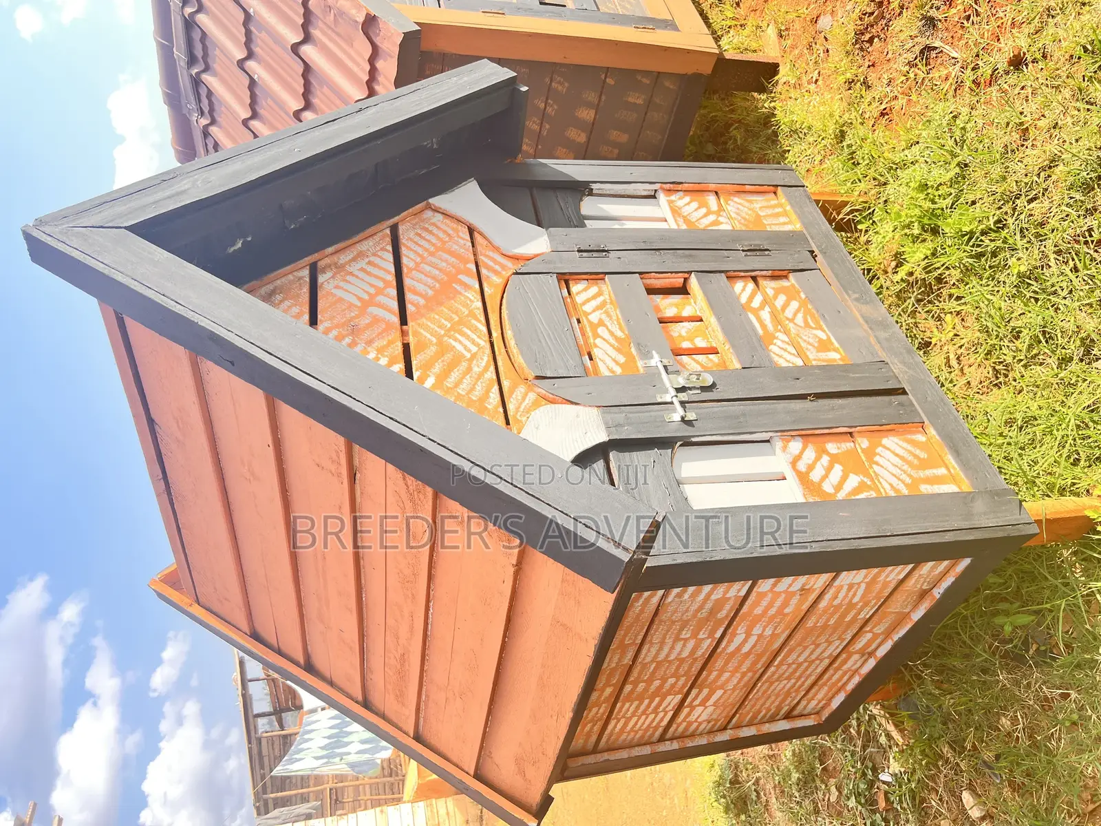 Multi Colored Kennel