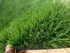 High Quailty Turf Field Grass Carpet