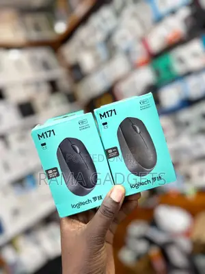 Logitech M171 Wireless Mouse.