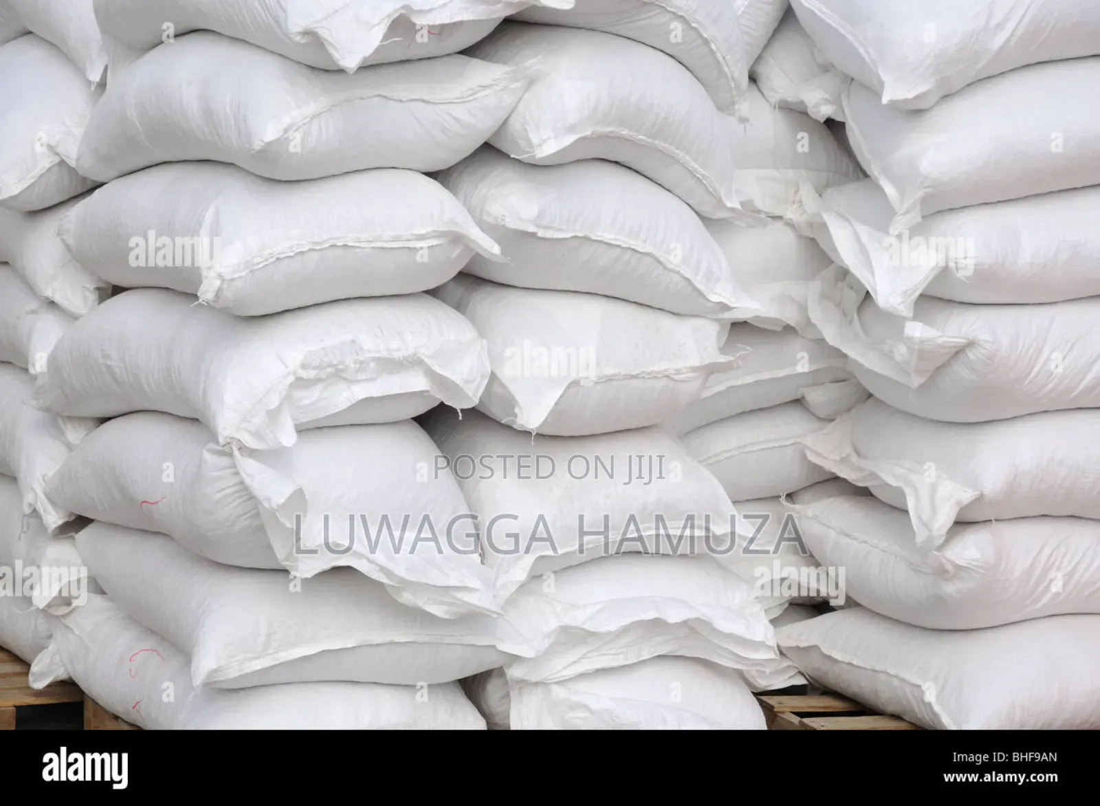 Rabbit Pellets Bulk Kilograms
