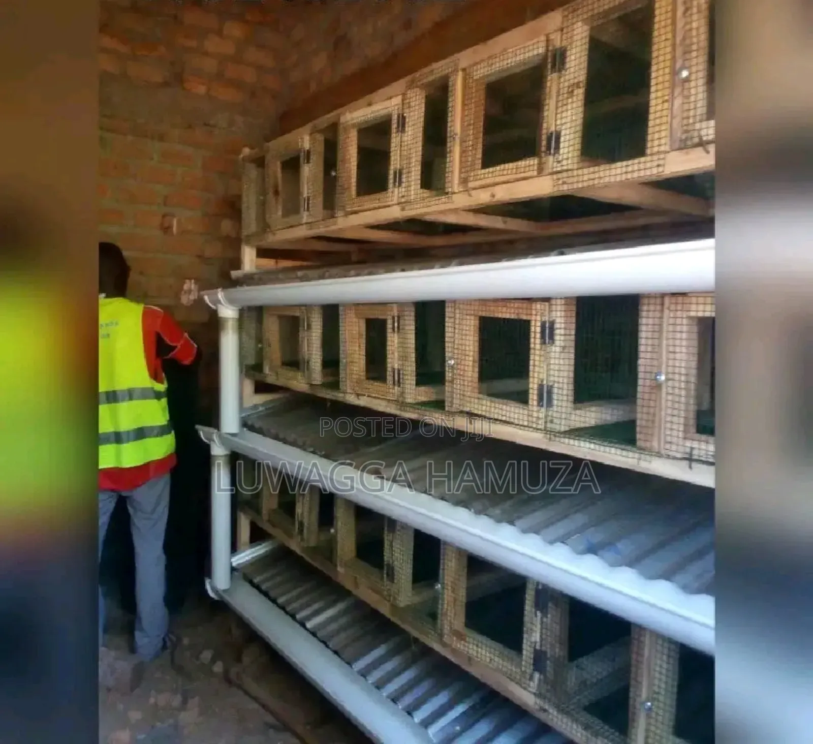 Morden Rabbit Cages