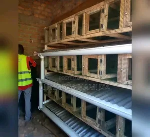 Morden Rabbit Cages