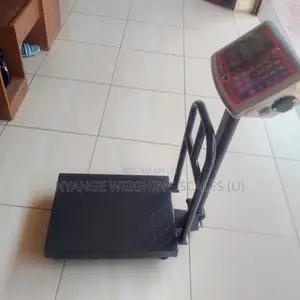 High Accuracy Weigh Scale Platform Weighing Scales 180kg