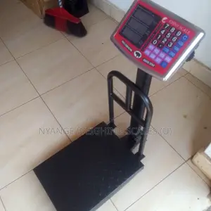 Industry Platform Weighing Scales 180kg Weigh Digital Weighing Scales