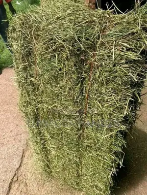 Animal Hay Supplier