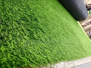 Normal Natural Compound Grass Carpet