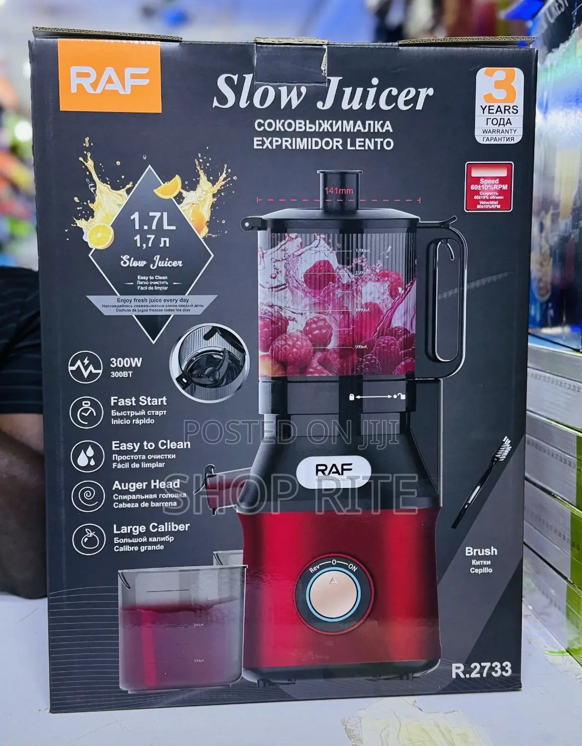Raf Commercial Slow Juicer