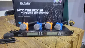 4 Channel Professional Wireless Microphone