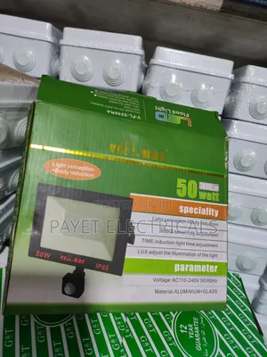 Led Floodlight With Automatic Switch