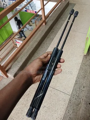 Car Bonnet Shock Absorbers