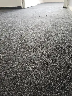 Level Quailty Grey Woolen Carpet