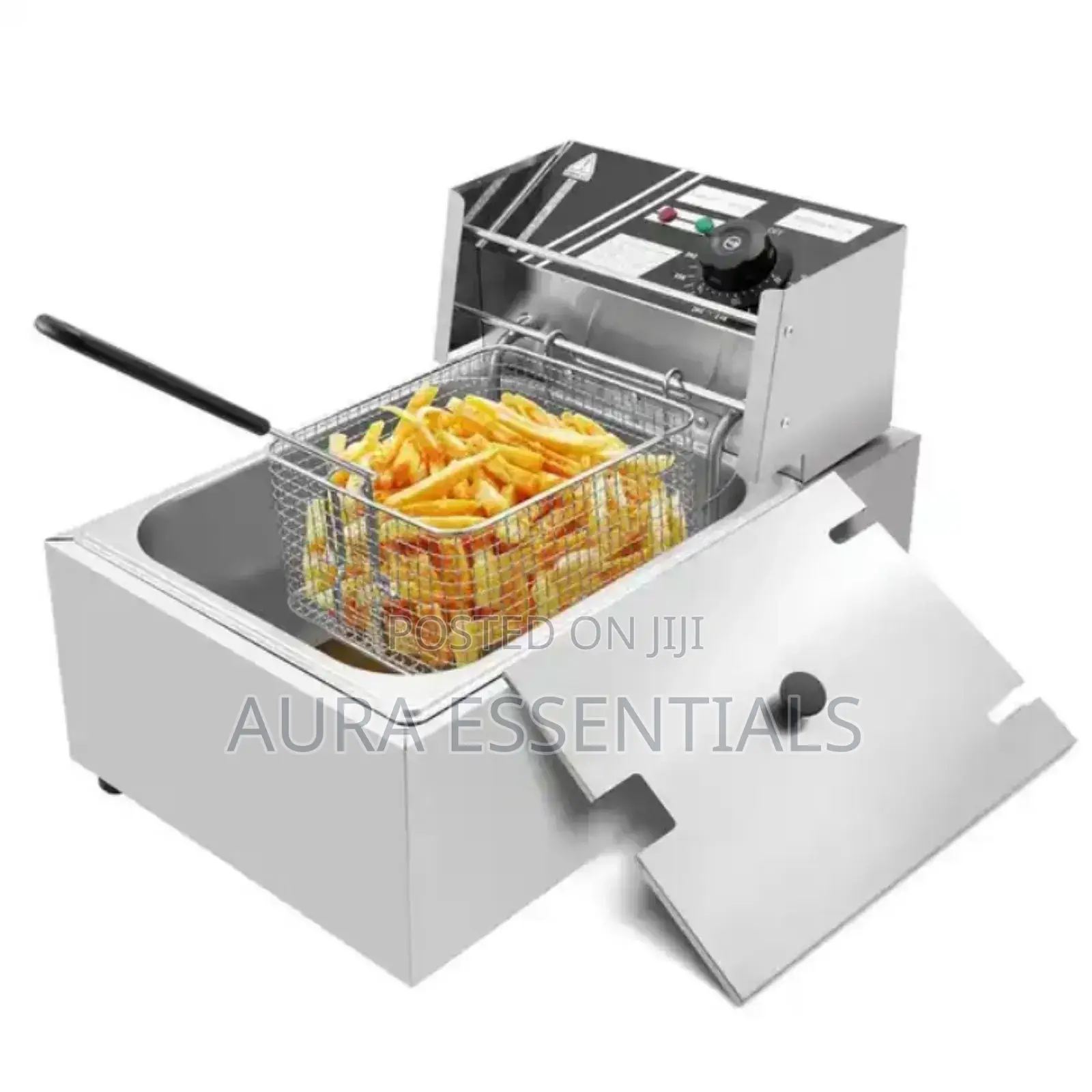 Professional Commercial Deep Fryer