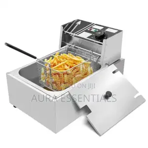 Professional Commercial Deep Fryer