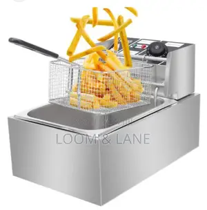 Commercial Professional Deep Fryer
