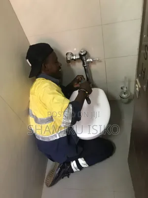 Professional Plumbers