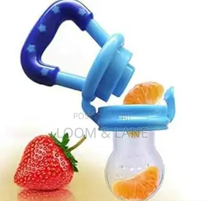Baby Nipple Fresh Food Feeding Bit Bites Teether