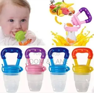 Baby Nipple Fresh Food Feeding Bit Bites Teether