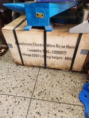 Electric Chain Hoist 1 Ton 50m