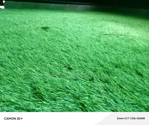 Truf Synthetic Grass Carpet