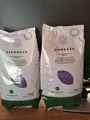 Panicum Mombasa Cv Hybrid Seeds (1kg)