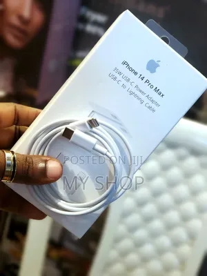 iPhone Charger