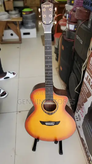 Dream Maker Acoustic Amplified Guitar.